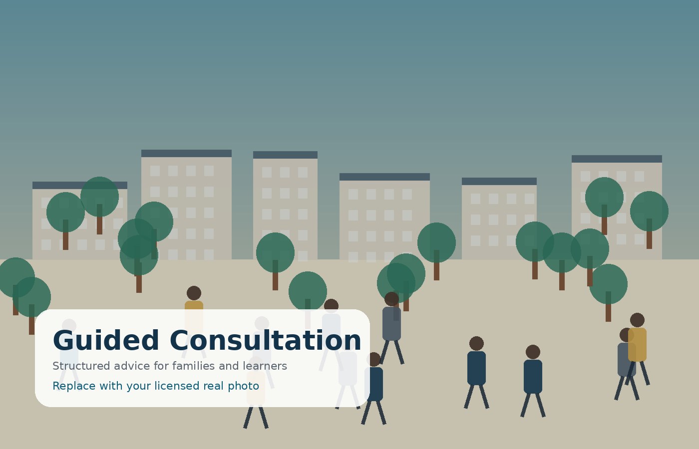 Student consultation session